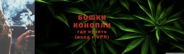 PSILOCYBIN Белокуриха